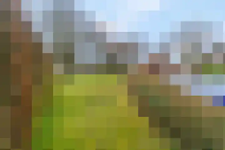 Rozenlaan 139 Rhenen thumbnail 33