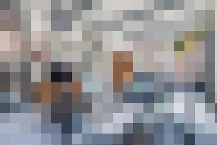 Rozenlaan 14 A Rotterdam thumbnail 12