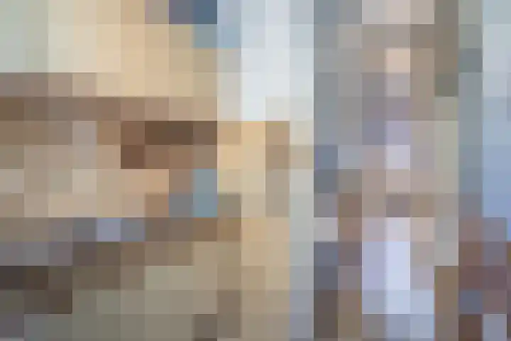 Rozenlaan 14 A Rotterdam thumbnail 17