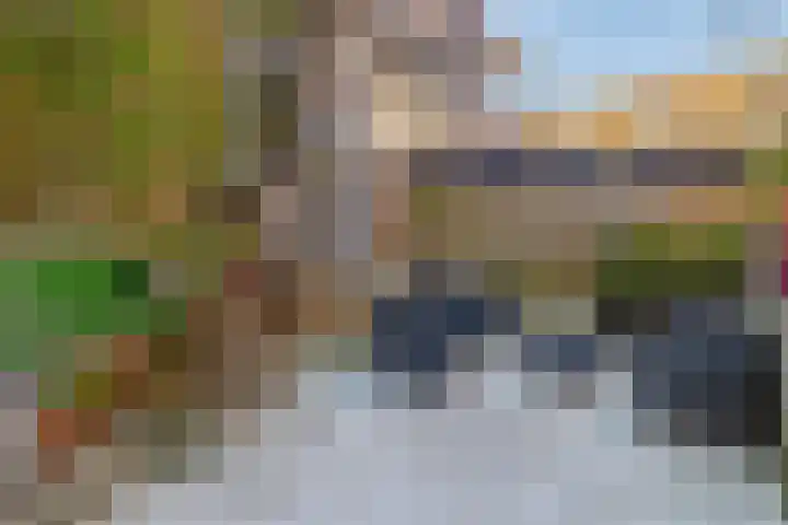 Rozenlaan 14 A Rotterdam thumbnail 18