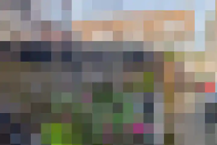 Rozenlaan 14 A Rotterdam thumbnail 22
