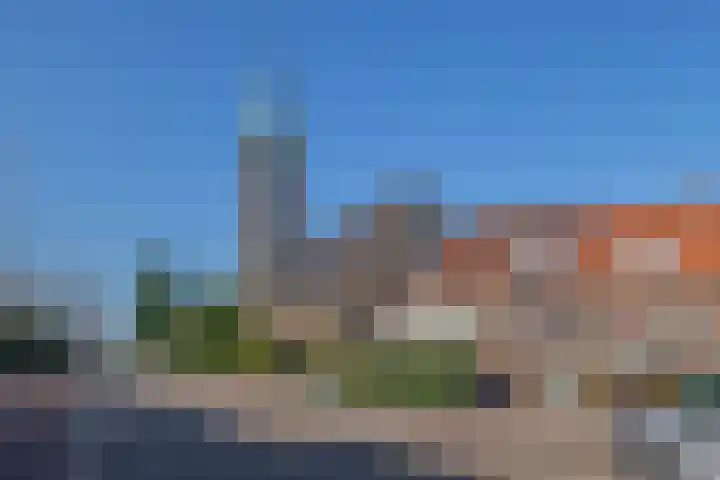 Rozenlaan 14 A Rotterdam thumbnail 27