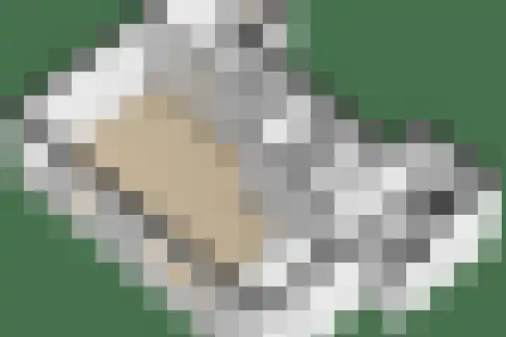 Rozenlaan 14 A Rotterdam thumbnail 32