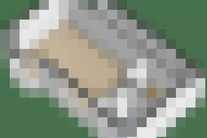 Rozenlaan 14 A Rotterdam thumbnail 33