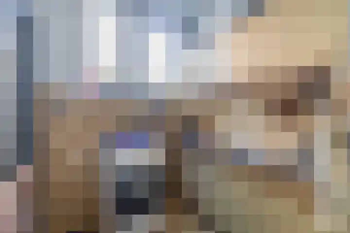 Rozenlaan 14 A Rotterdam thumbnail 4