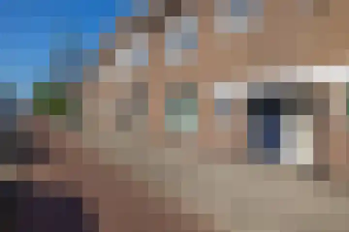 Rozenlaan 14 A Rotterdam thumbnail 6