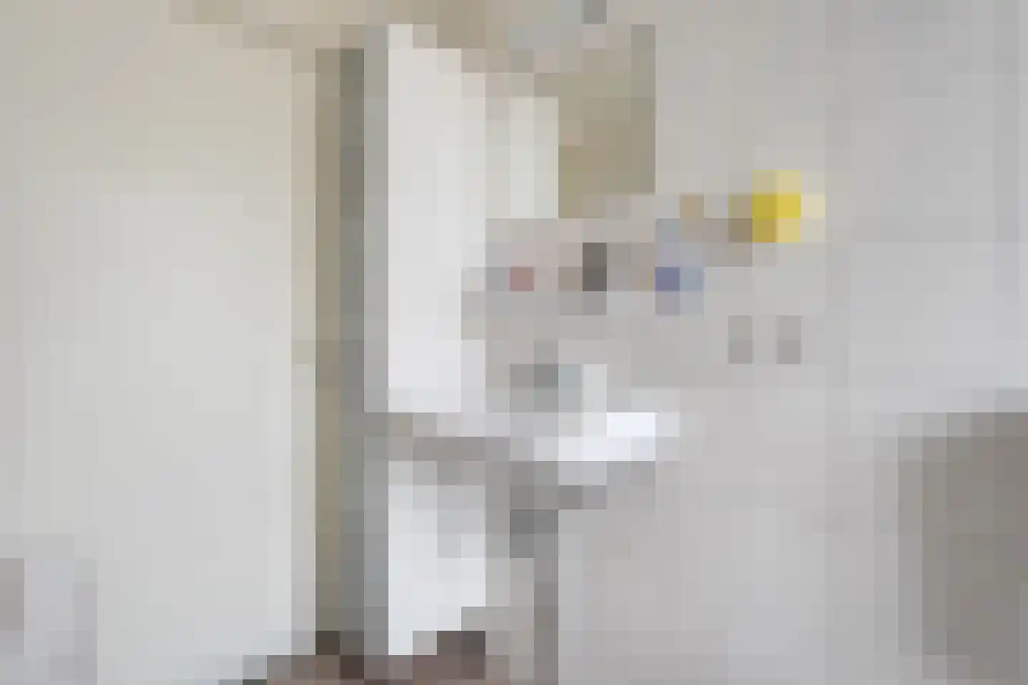 Rozenlaan 15 Beilen thumbnail 22