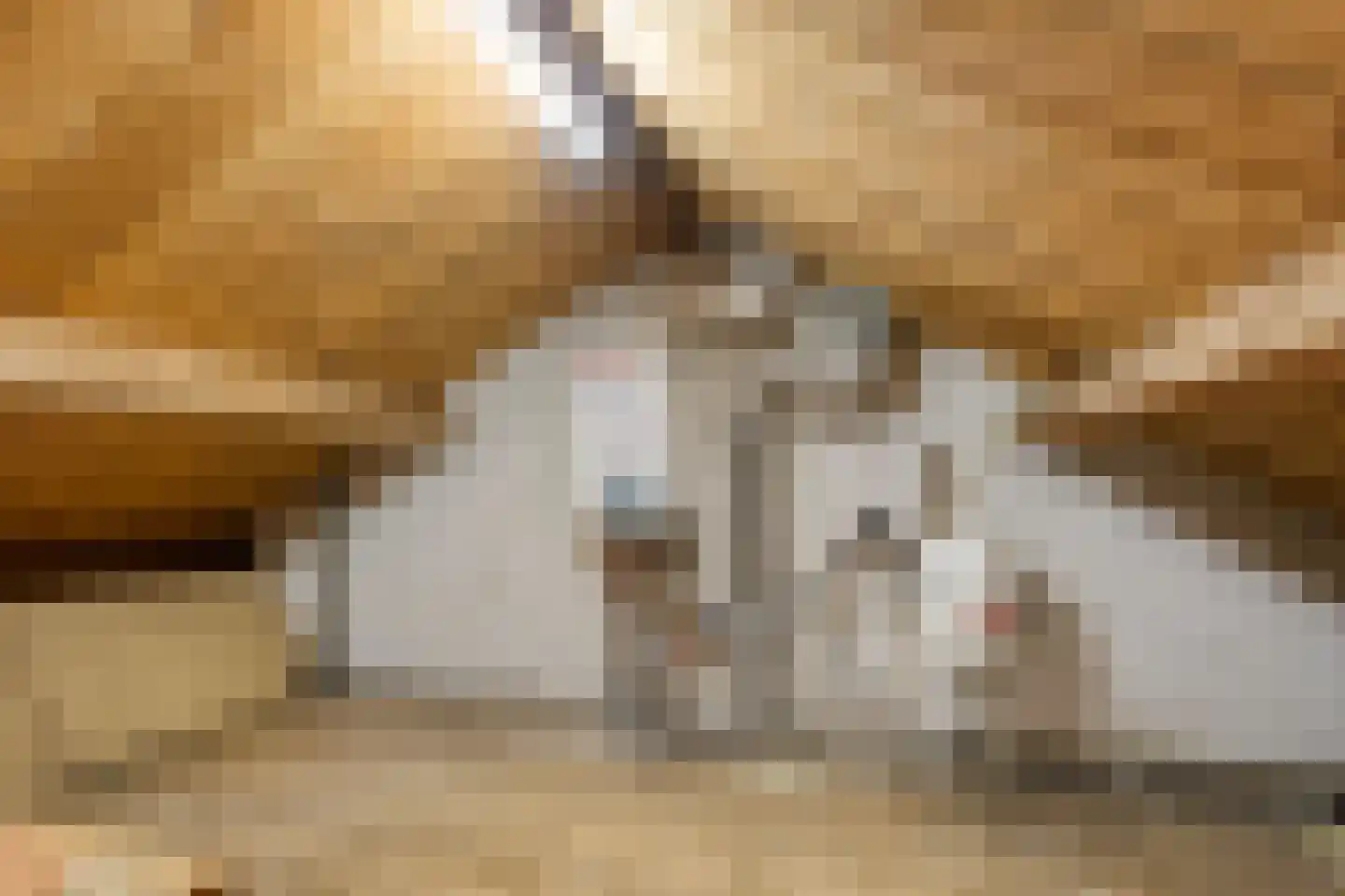 Rozenlaan 15 Beilen thumbnail 26
