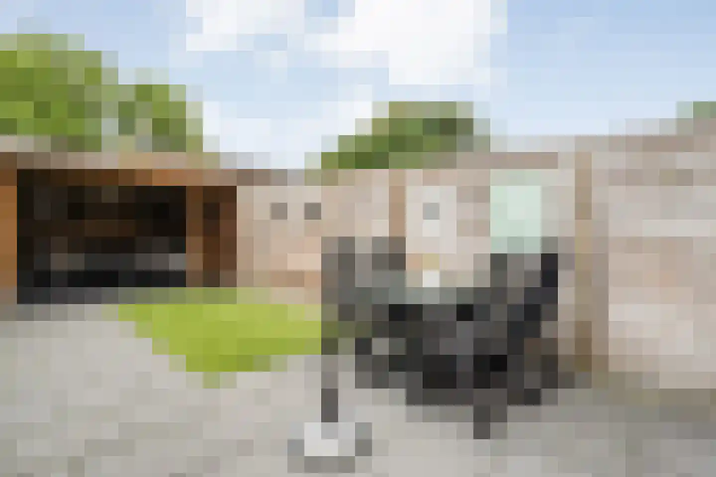 Rozenlaan 15 Beilen thumbnail 30