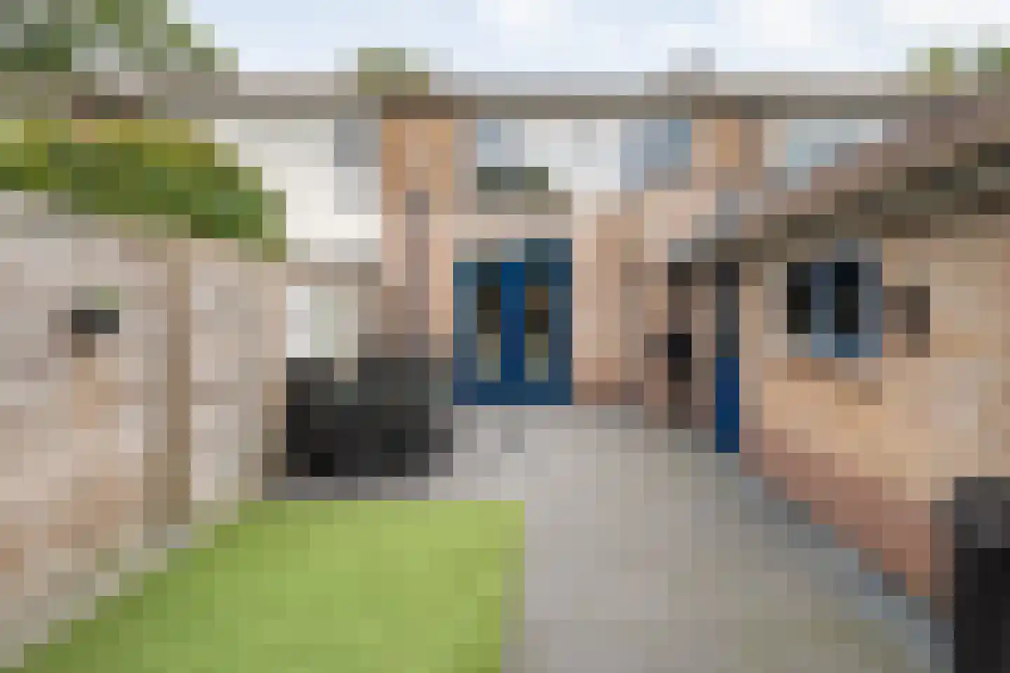 Rozenlaan 15 Beilen thumbnail 31