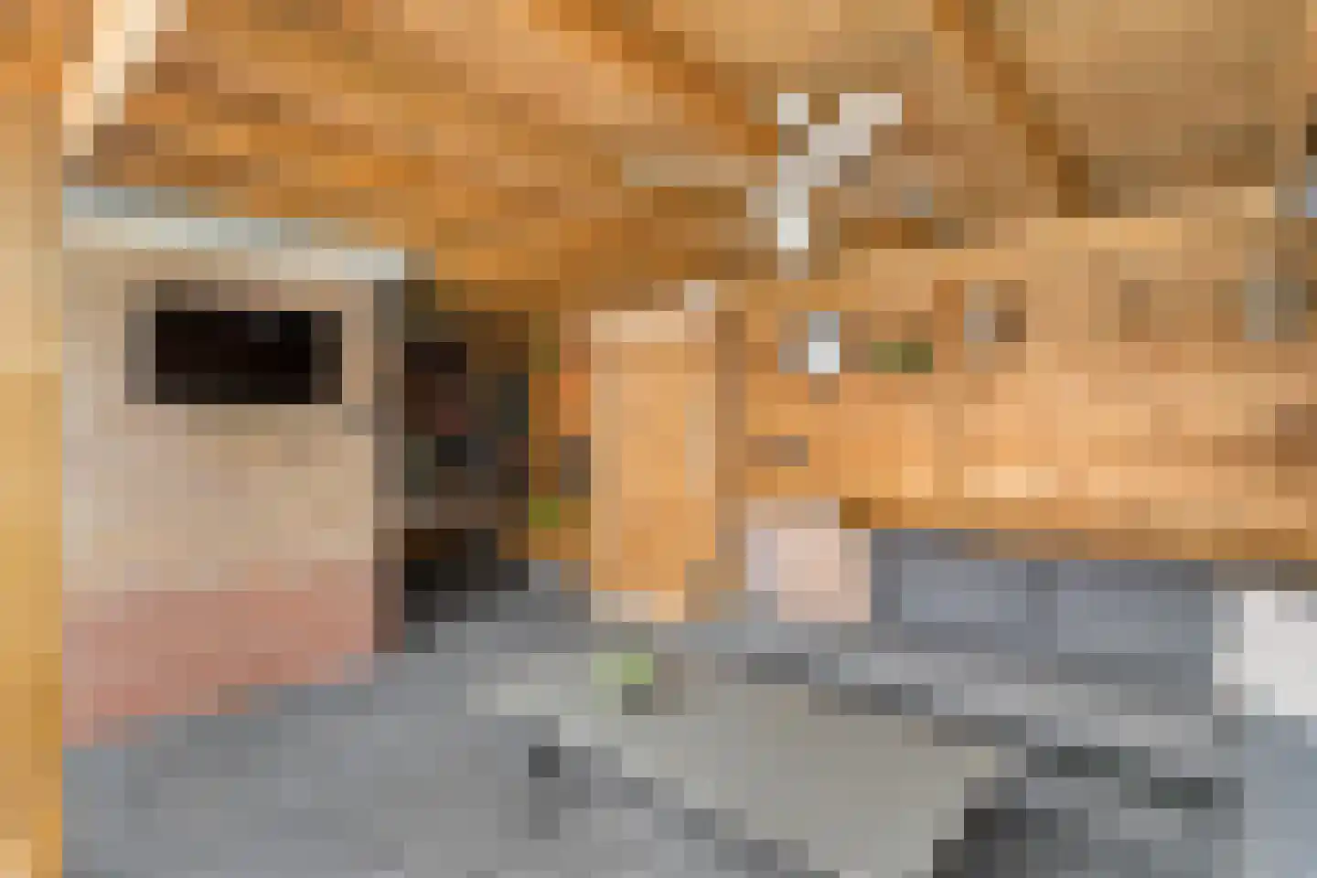 Rozenlaan 15 Beilen thumbnail 33