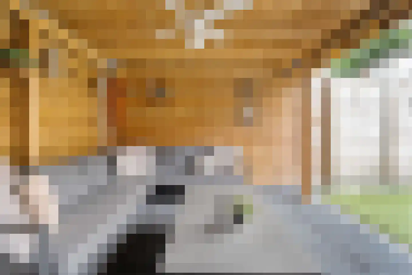 Rozenlaan 15 Beilen thumbnail 35