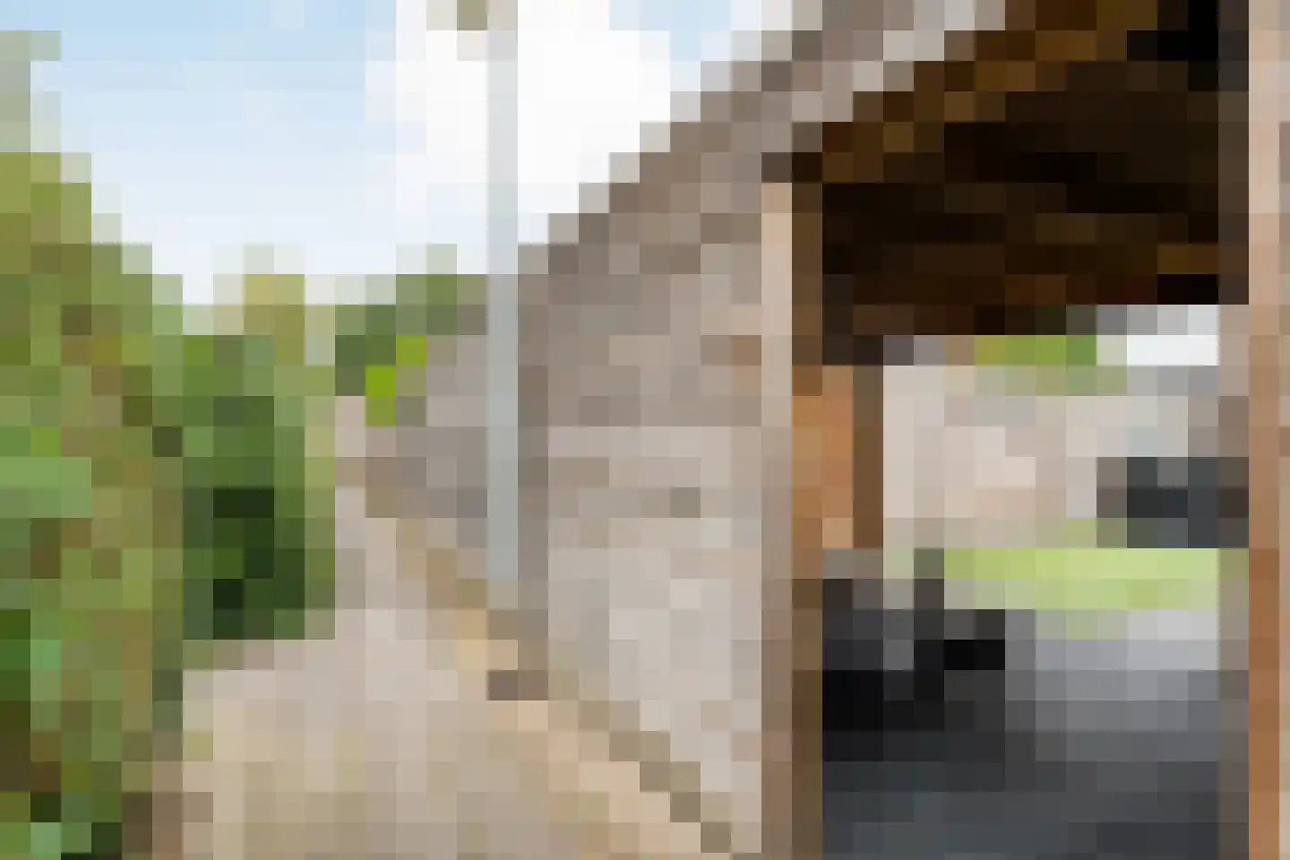 Rozenlaan 15 Beilen thumbnail 40
