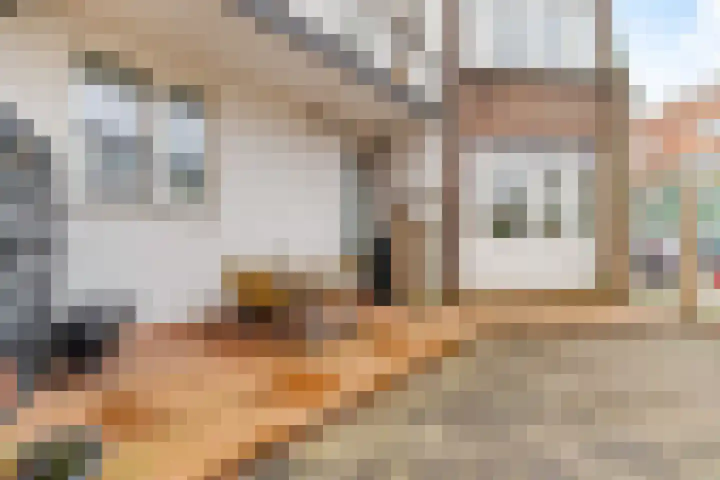 Rozenlaan 16 A Rotterdam thumbnail 10