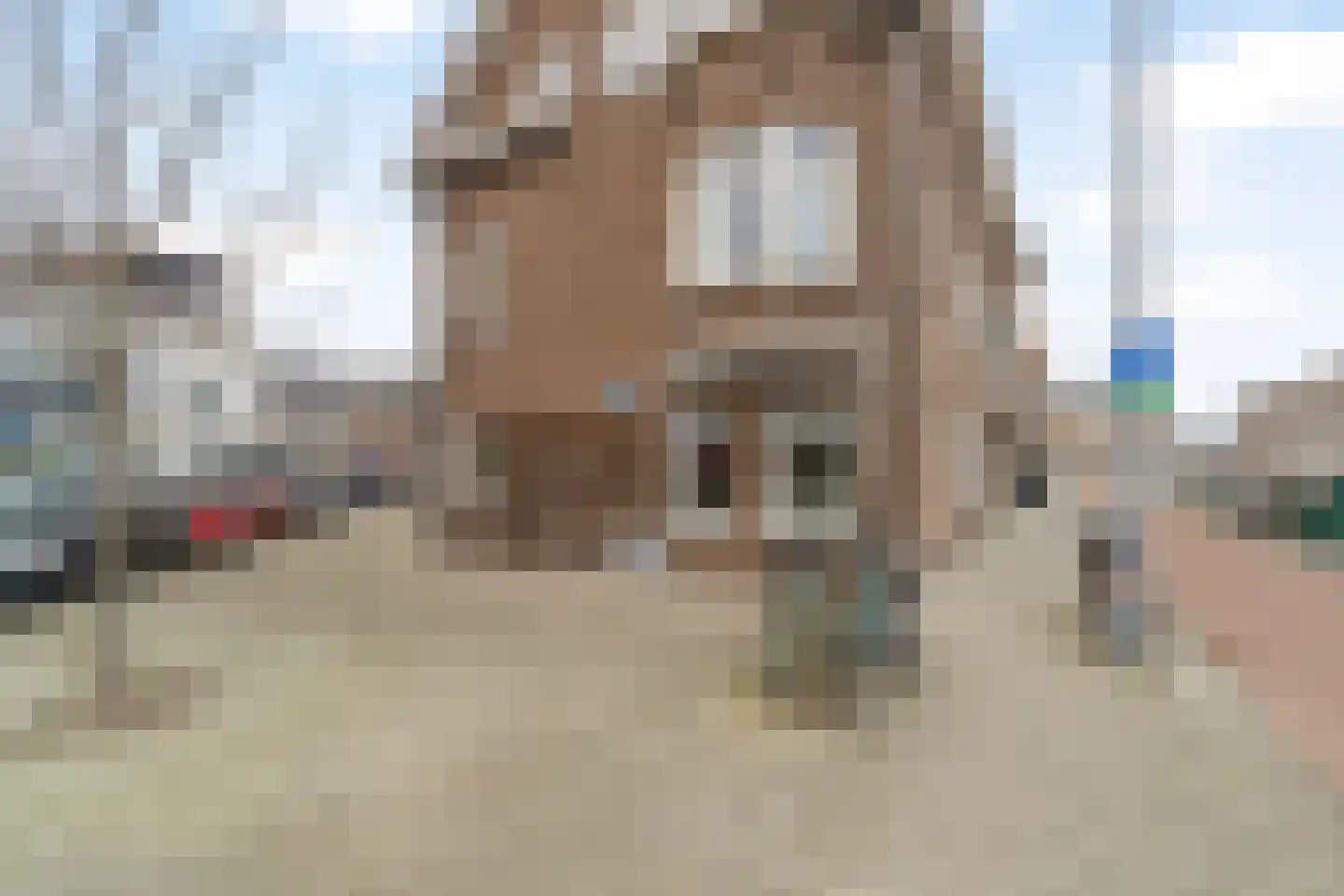 Rozenlaan 16 A Rotterdam thumbnail 26