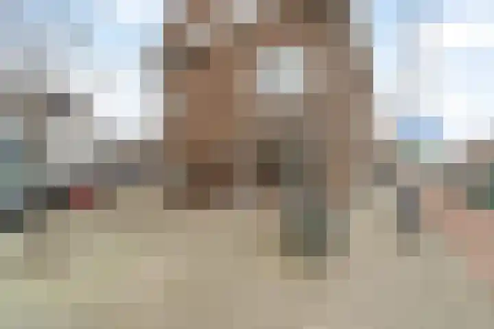 Rozenlaan 16 A Rotterdam thumbnail 26