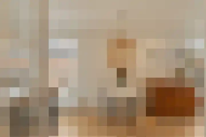 Rozenlaan 16 A Rotterdam thumbnail 7