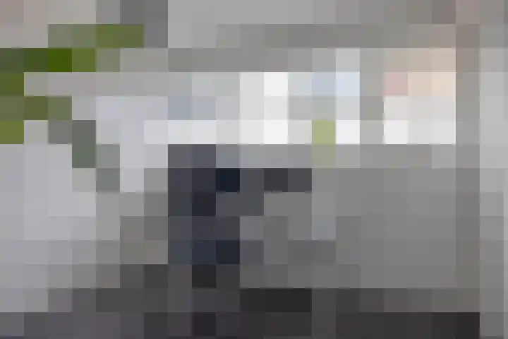 Rozenlaan 16 B Rotterdam thumbnail 13
