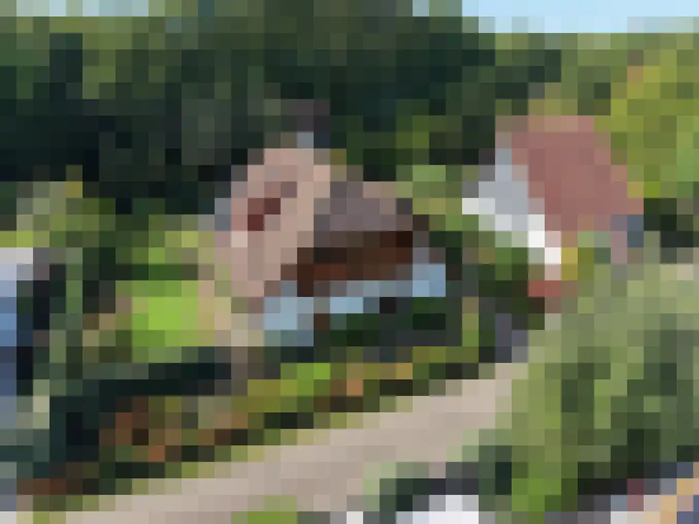 Rozenlaan 2 Burgh-Haamstede thumbnail 36