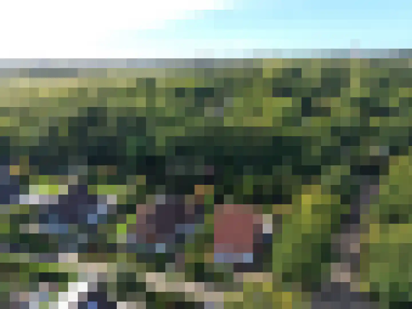 Rozenlaan 2 Burgh-Haamstede thumbnail 37