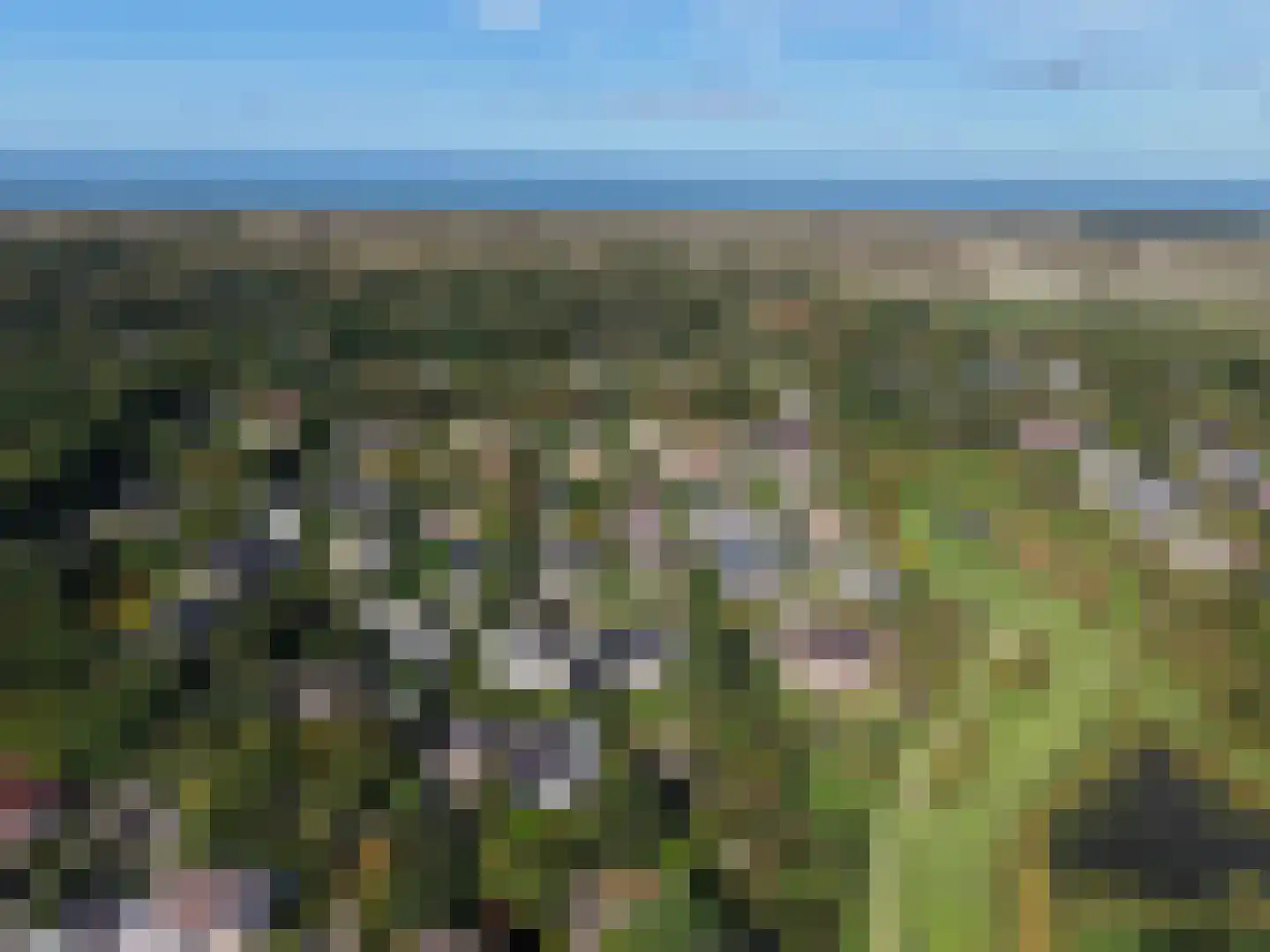 Rozenlaan 2 Burgh-Haamstede thumbnail 38