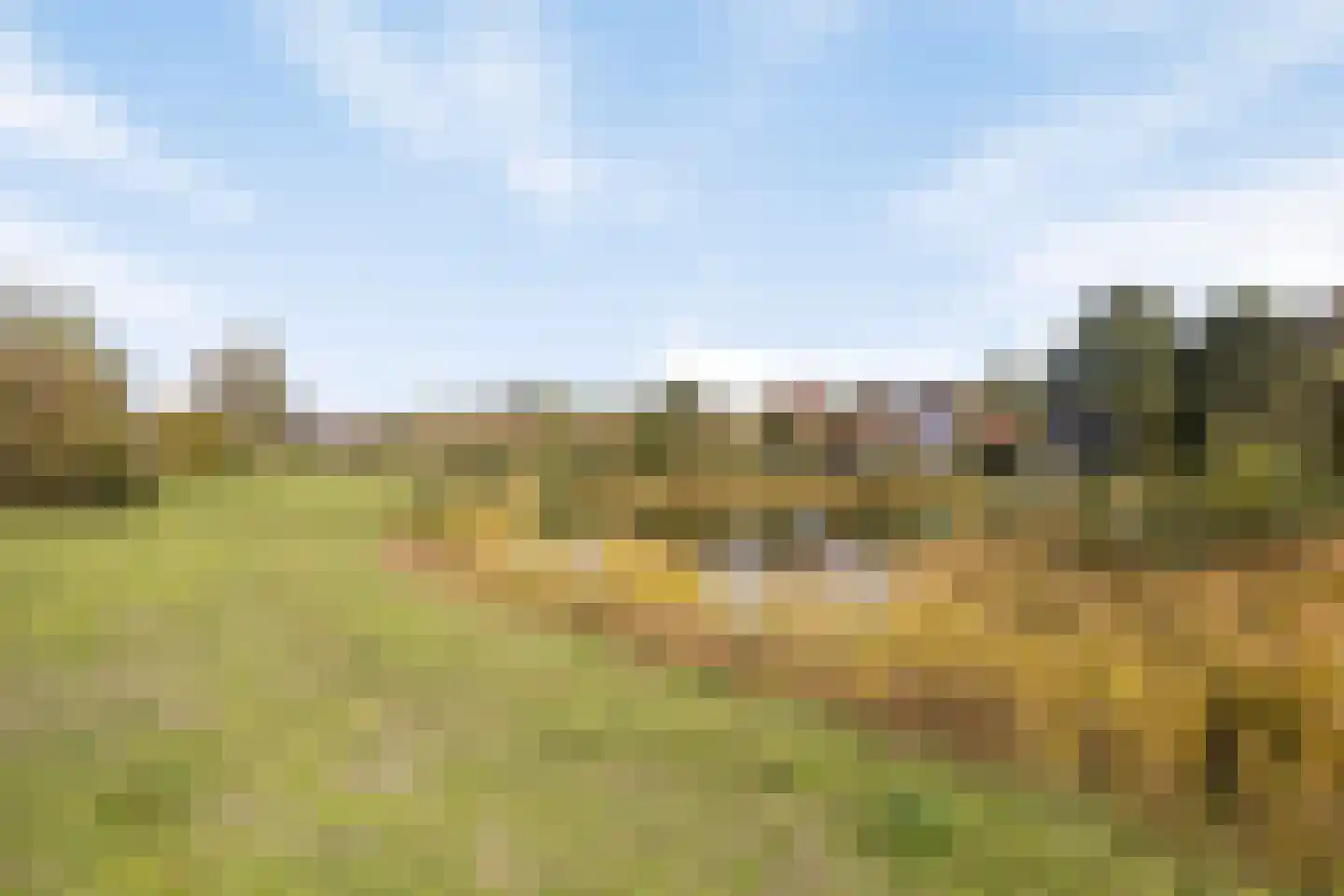 Rozenlaan 2 Burgh-Haamstede thumbnail 39