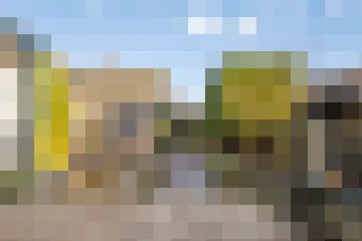 Rozenlaan 2 Heerjansdam thumbnail 24