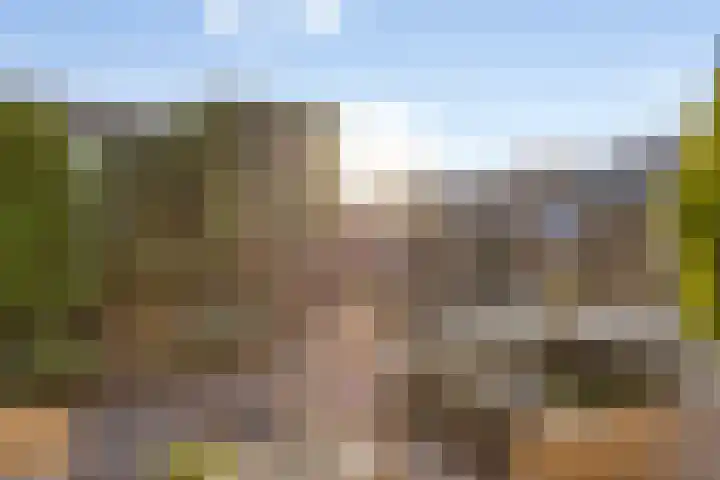 Rozenlaan 2 Heerjansdam thumbnail 25