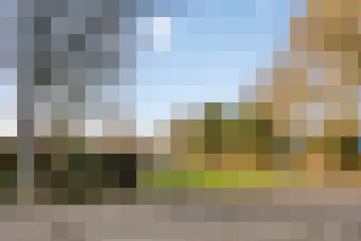 Rozenlaan 2 Heerjansdam thumbnail 28