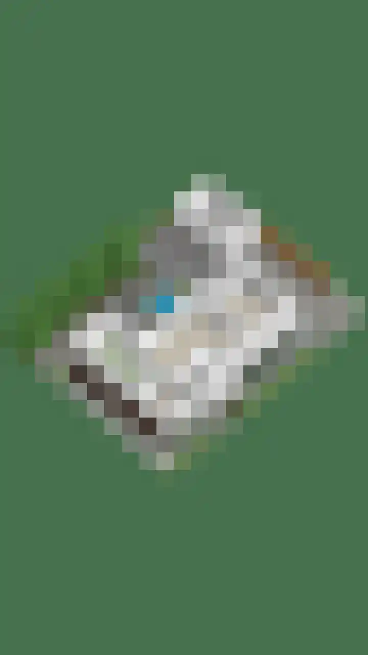 Rozenlaan 2 Heerjansdam thumbnail 34