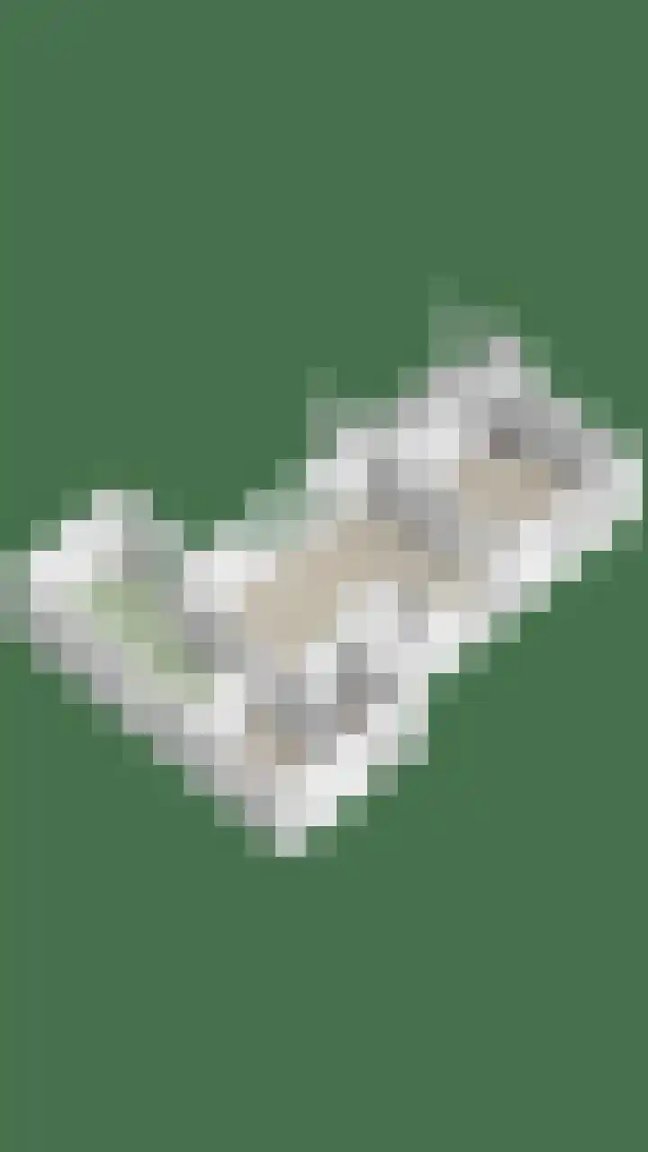 Rozenlaan 2 Heerjansdam thumbnail 35