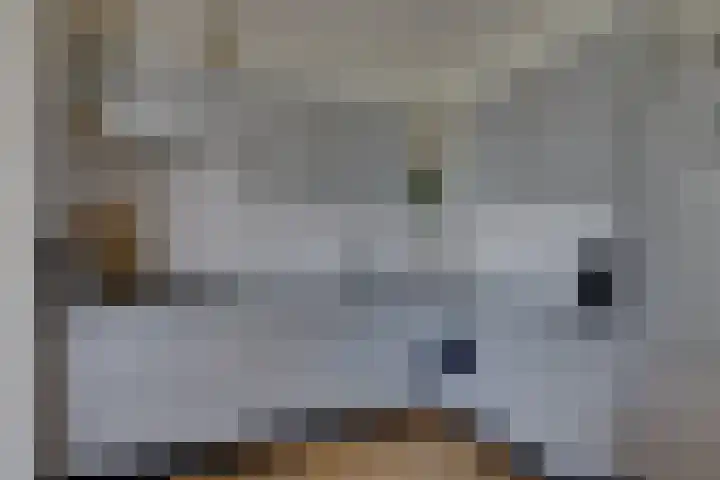 Rozenlaan 20 Beilen thumbnail 10