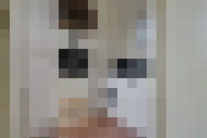 Rozenlaan 20 Beilen thumbnail 12