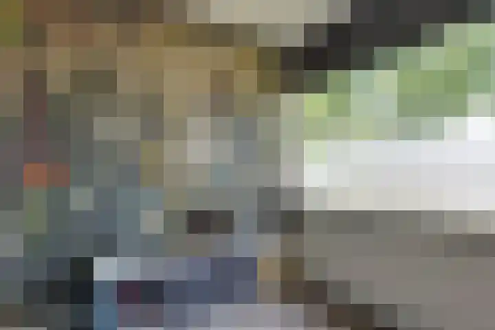 Rozenlaan 20 Beilen thumbnail 18