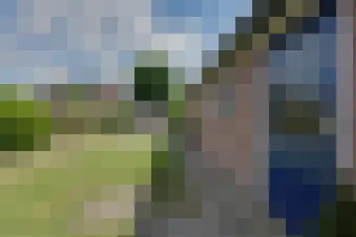 Rozenlaan 20 Beilen thumbnail 22