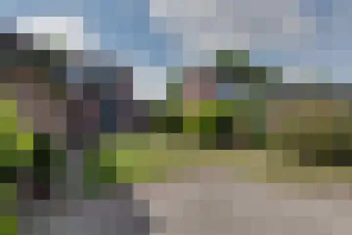 Rozenlaan 20 Beilen thumbnail 24