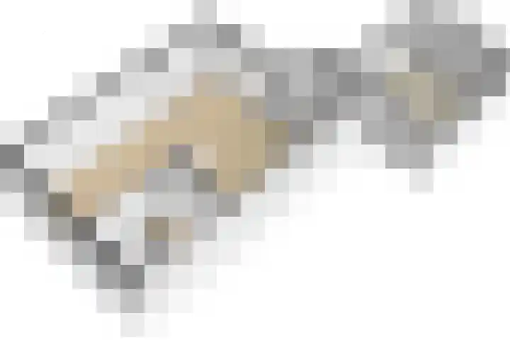 Rozenlaan 20 Beilen thumbnail 30