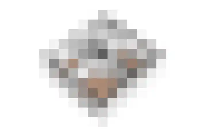 Rozenlaan 20 Beilen thumbnail 32