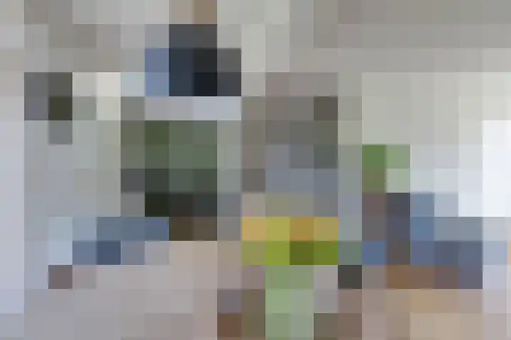 Rozenlaan 20 Beilen thumbnail 7