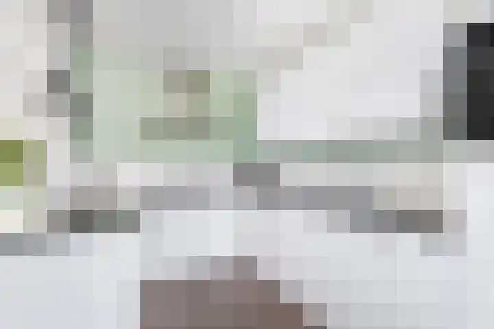 Rozenlaan 20 Klaaswaal thumbnail 16