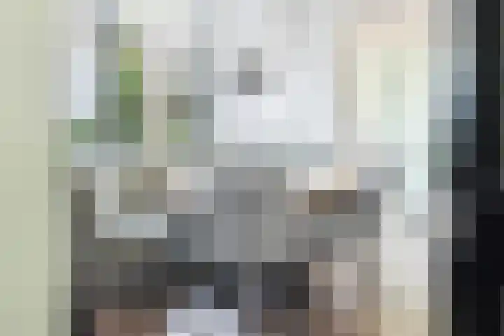 Rozenlaan 20 Klaaswaal thumbnail 19