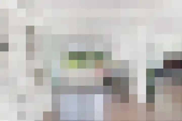 Rozenlaan 20 Klaaswaal thumbnail 21