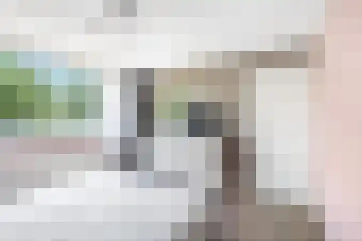 Rozenlaan 20 Klaaswaal thumbnail 26