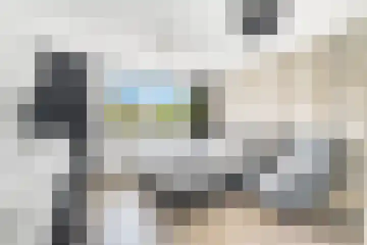 Rozenlaan 20 Klaaswaal thumbnail 27