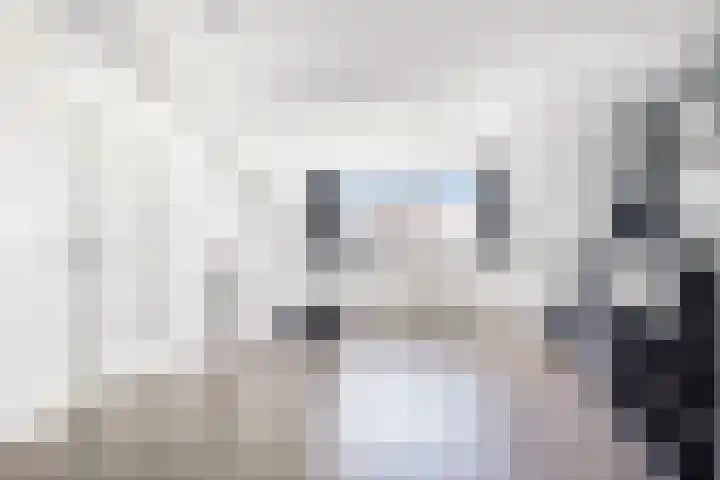Rozenlaan 20 Klaaswaal thumbnail 34