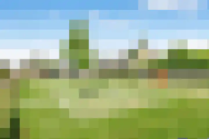 Rozenlaan 20 Klaaswaal thumbnail 43