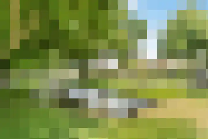 Rozenlaan 20 Klaaswaal thumbnail 44