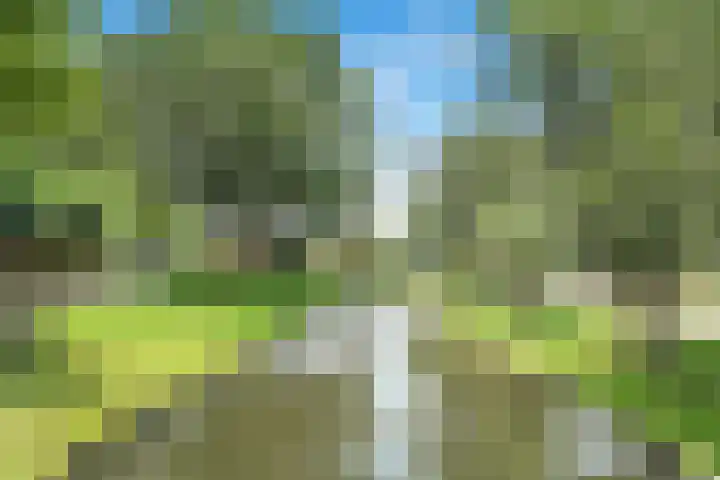Rozenlaan 20 Klaaswaal thumbnail 45