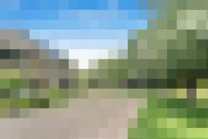 Rozenlaan 20 Klaaswaal thumbnail 7