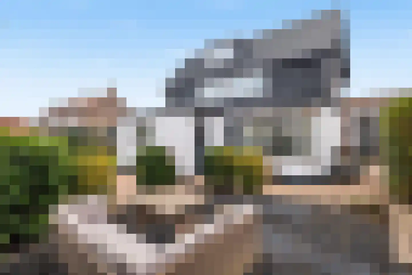Rozenlaan 21 Heerjansdam thumbnail 6